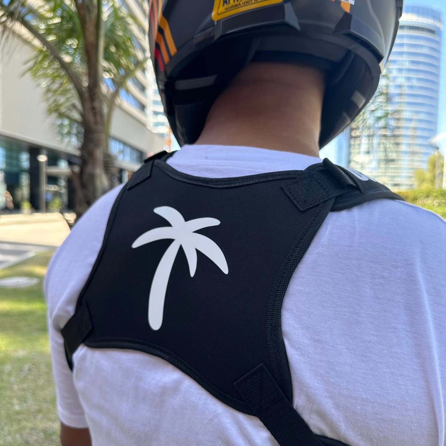 Bag for motorcycle